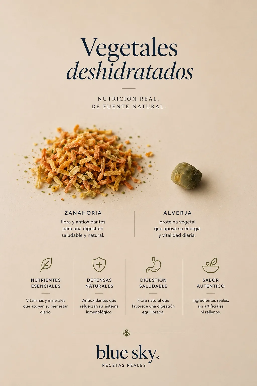 Ficha Blue Sky: Vegetales deshidratados, características y beneficios de sus componentes