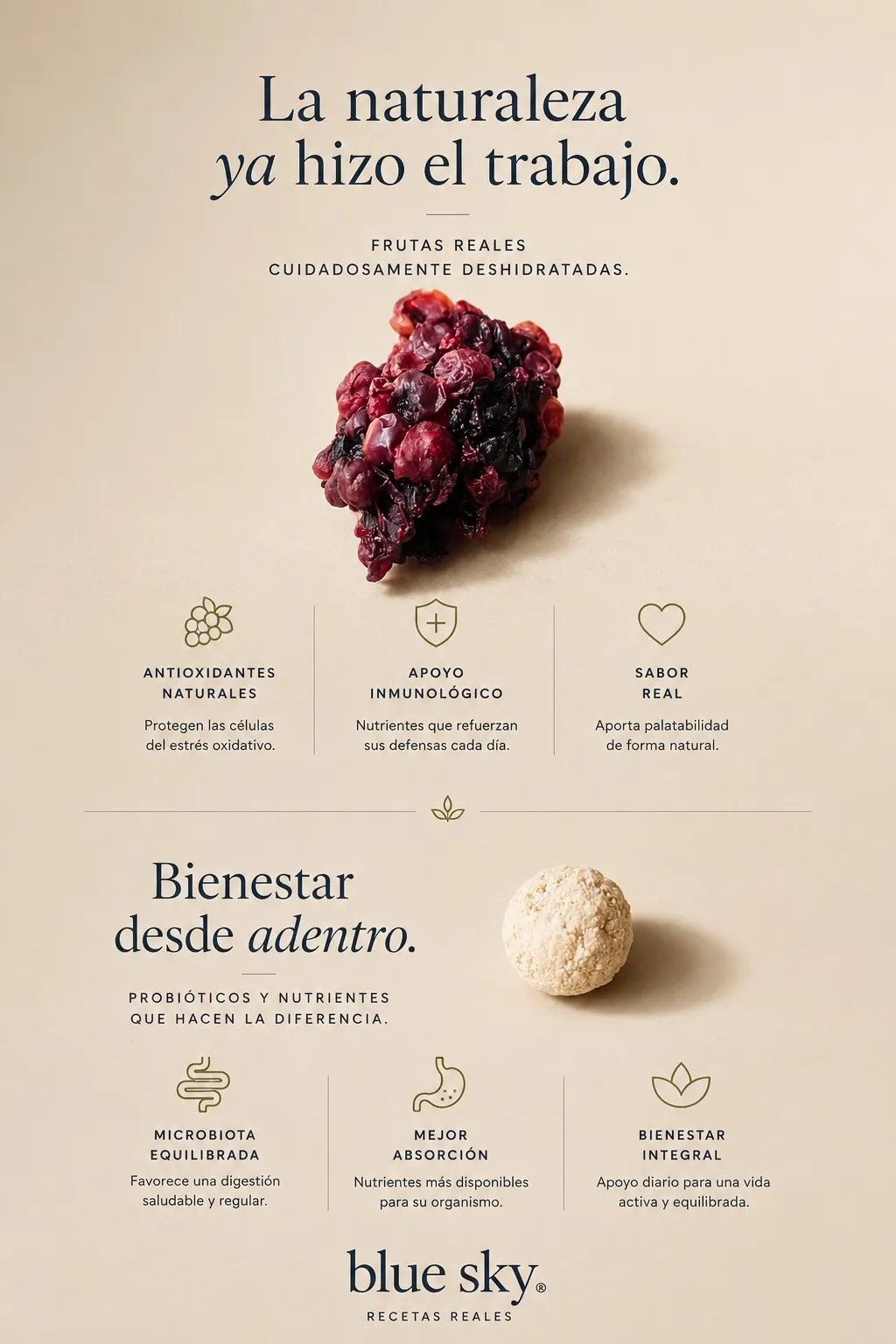 Ficha Blue Sky: Frutas y componentes funcionales, características y beneficios de sus componentes
